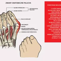 Duży palec u stopy: funkcje, problemy i jak o niego dbać