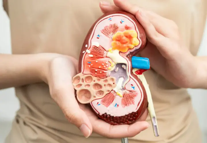 Gabinet urologiczny – kiedy warto się zgłosić i jakie objawy powinny zaniepokoić?