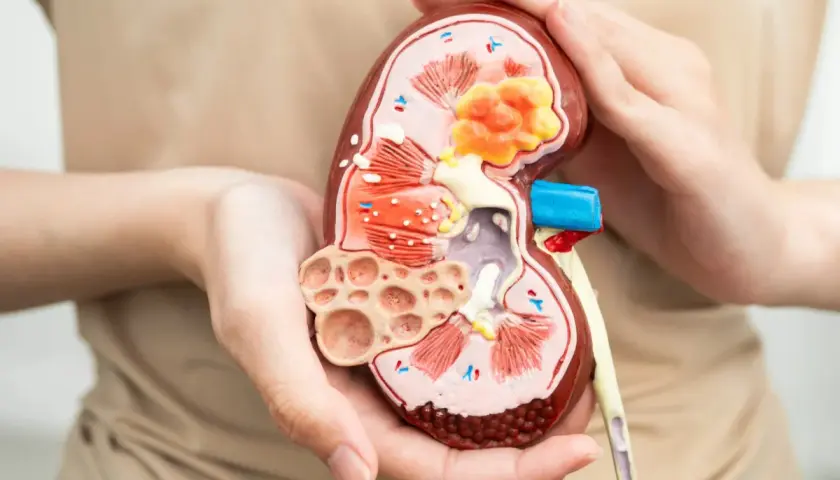 Gabinet urologiczny – kiedy warto się zgłosić i jakie objawy powinny zaniepokoić?