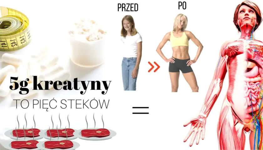 Skutki uboczne brania kreatyny – co musisz wiedzieć, aby uniknąć ryzyka