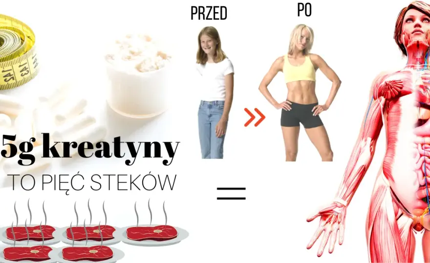 Skutki uboczne brania kreatyny – co musisz wiedzieć, aby uniknąć ryzyka